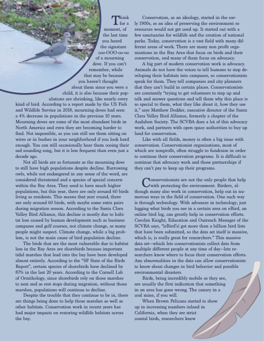 Article by El Baltz